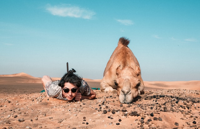 man-camel-img Home